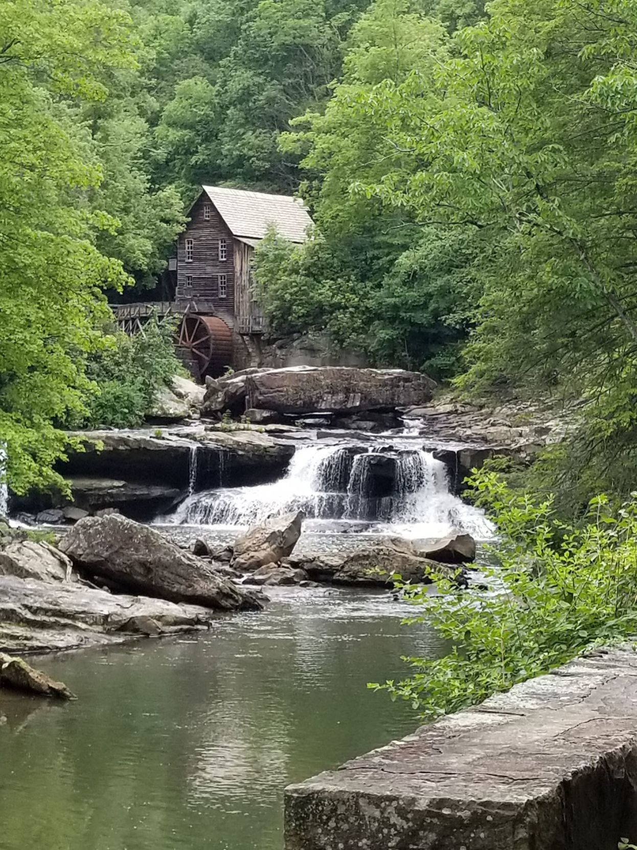 Summer in Babcock State Park, West Virginia